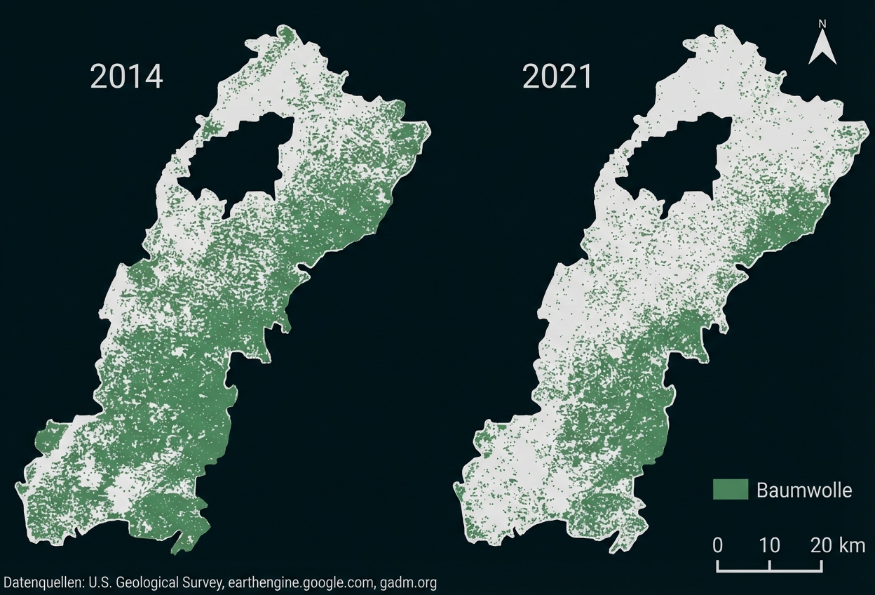Zwei Karten (2014, 2021) mit grünen Punkten zur Baumwollverteilung, Nordpfeil und Maßstab.